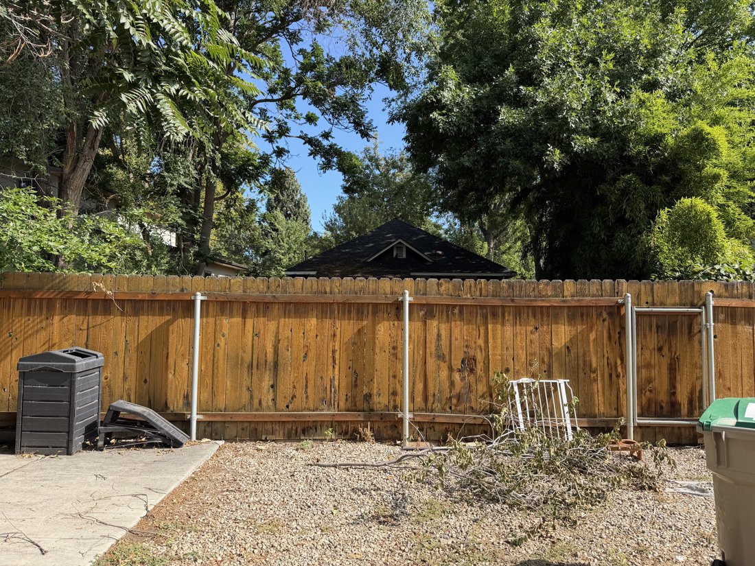 South side, viewed from the north. Fenced rear yard with a small roof visible through vegetation; building association unresolved.
