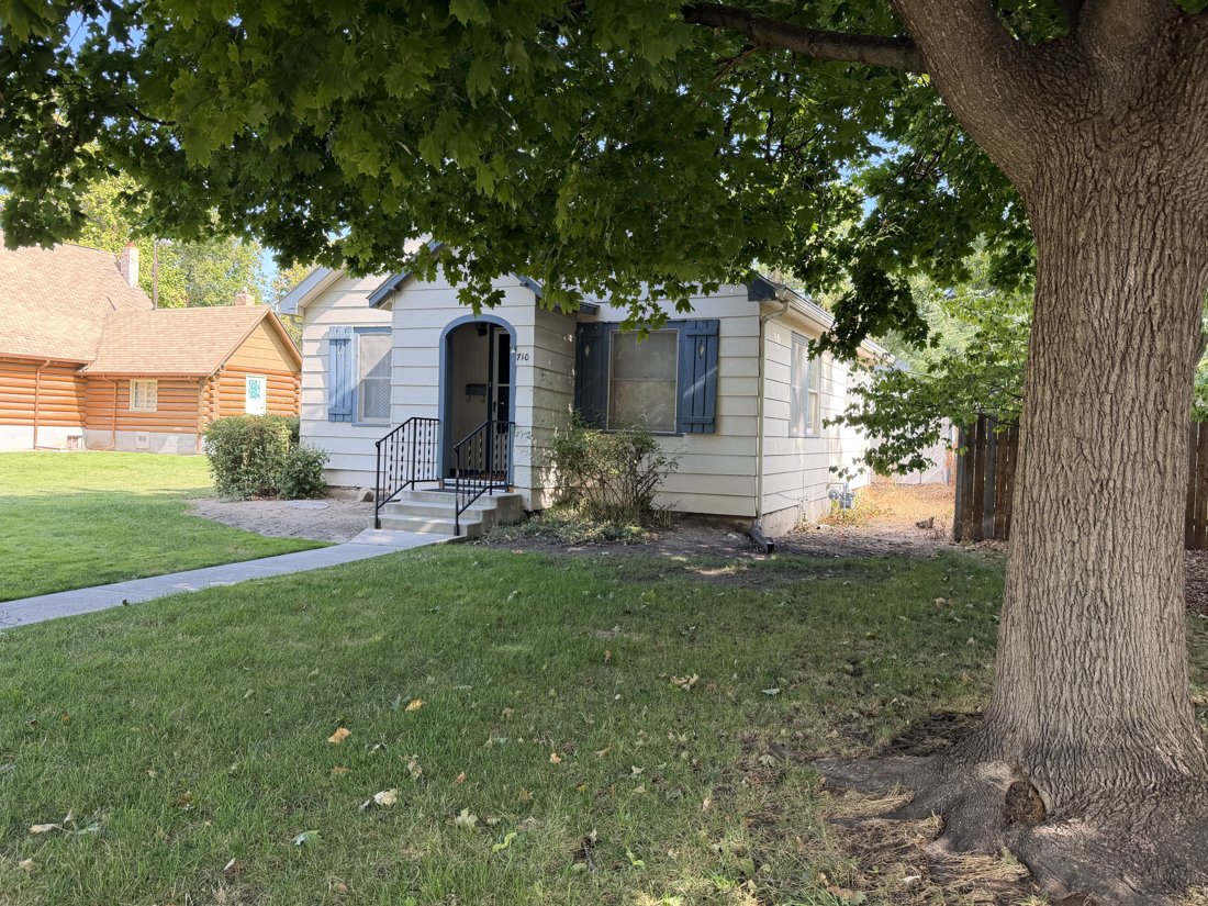 South side, viewed from the north. Opposite front oblique of the cottage beneath a large street tree.
