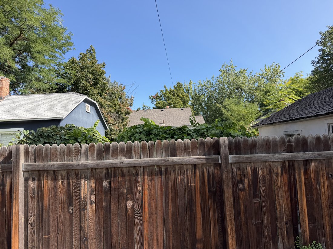South side, viewed from the west. View of the rear yard and associated building fabric from the service area.
