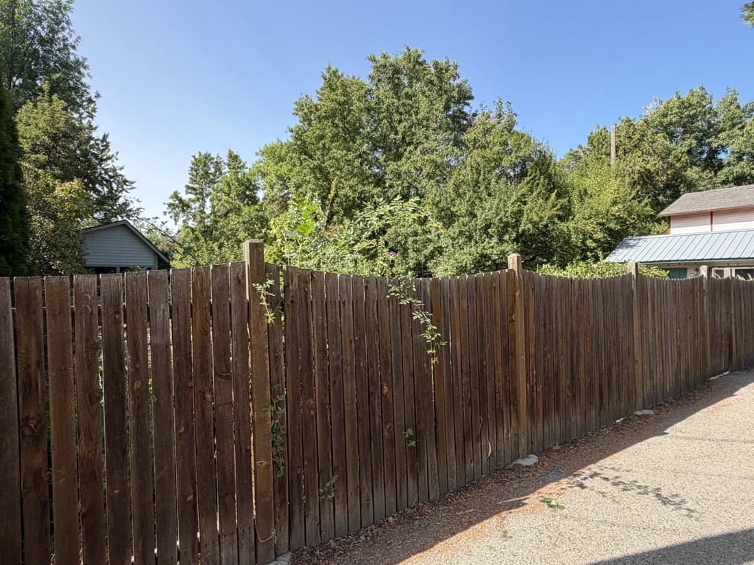 North side, viewed from the northeast. View of the rear yard and associated building fabric from the service area.